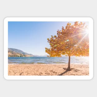 Autumn Maple Tree Beach Scene Sticker